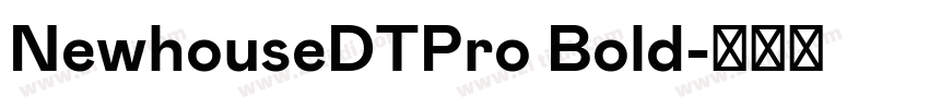 NewhouseDTPro Bold字体转换